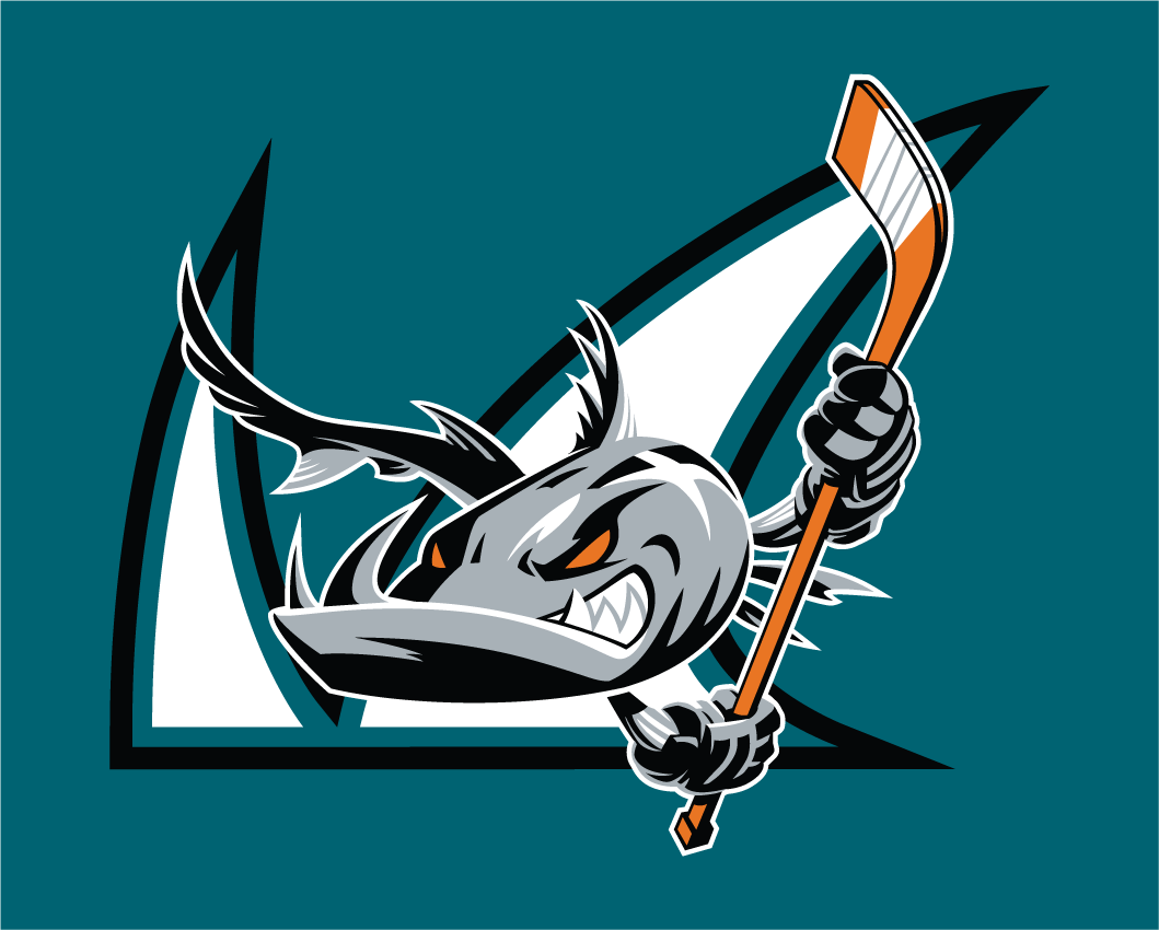 DIY San Jose Barracuda iron-on transfers, logos, letters, numbers, patches